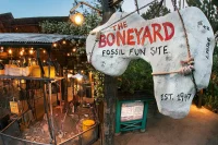 The Boneyard, DAK