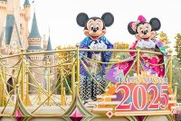 Tokyo Disney New Year Celebrations