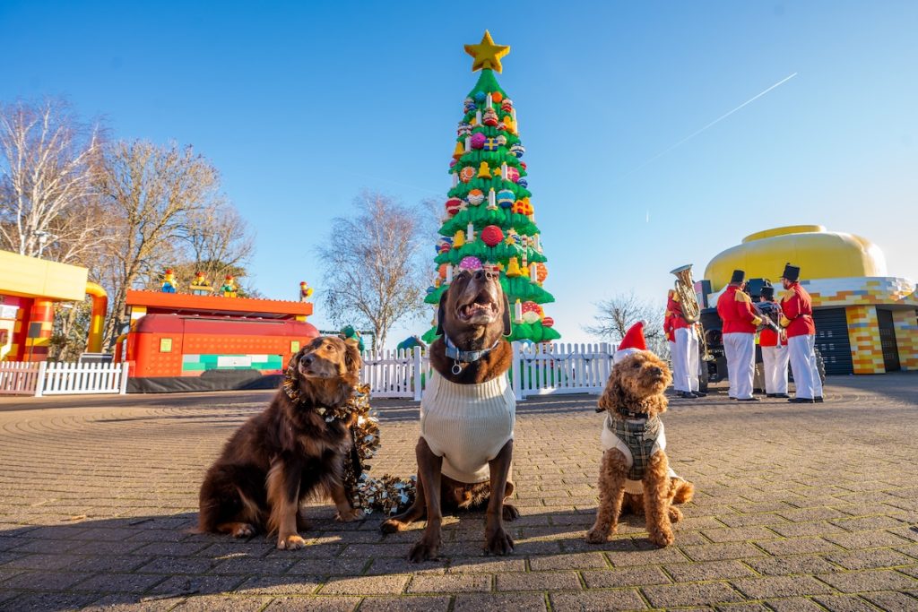 Legoland Windsor paws in the park
